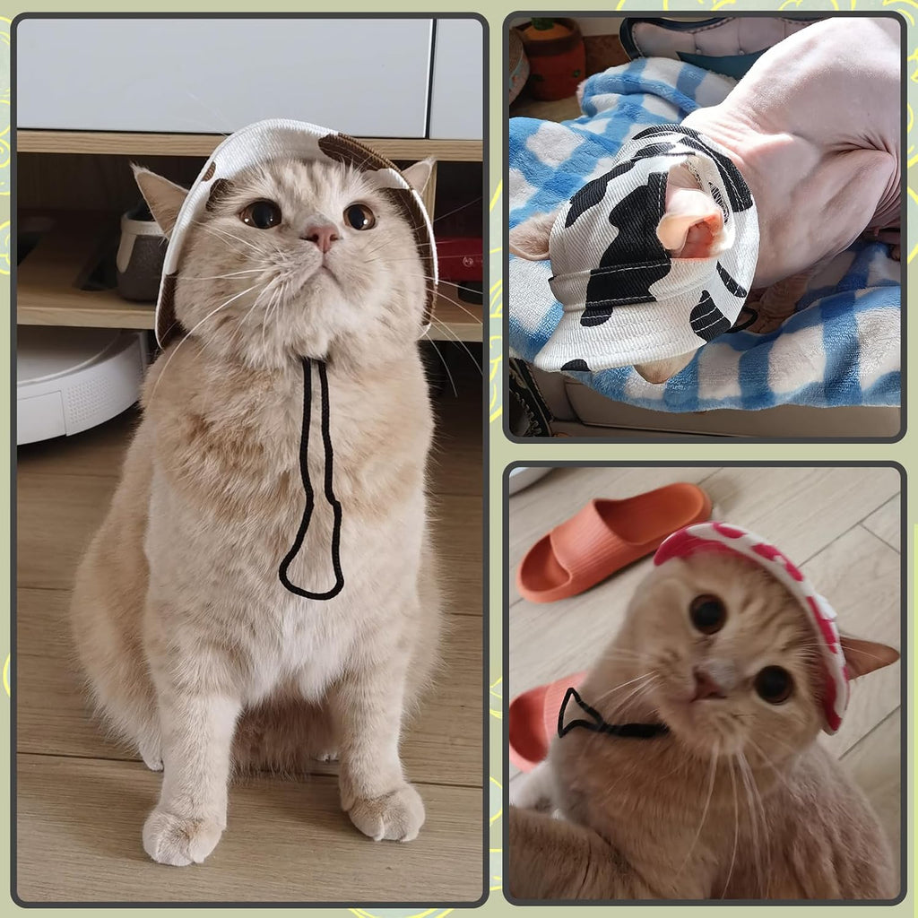 DENTRUN Cat Bucket Hat with Ear Hole, Cotton Birthday Bonnet for Small Pets