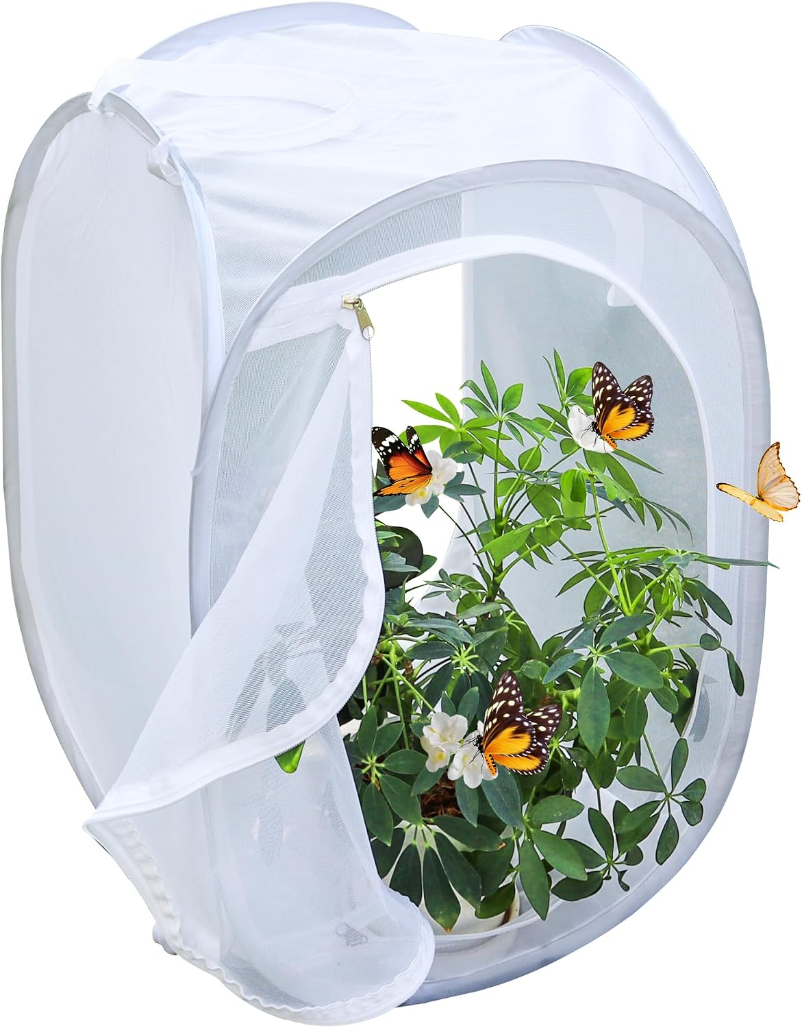 Pop‑up Butterfly Habitat Enclosure with High‑Clear PVC Panel & Fine Mesh