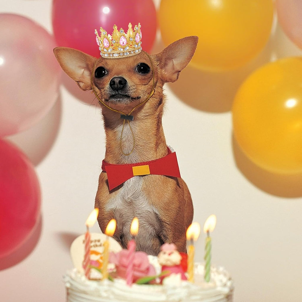Abbylike Dog Birthday Crown Queen for Pet Costume,Pink,Small