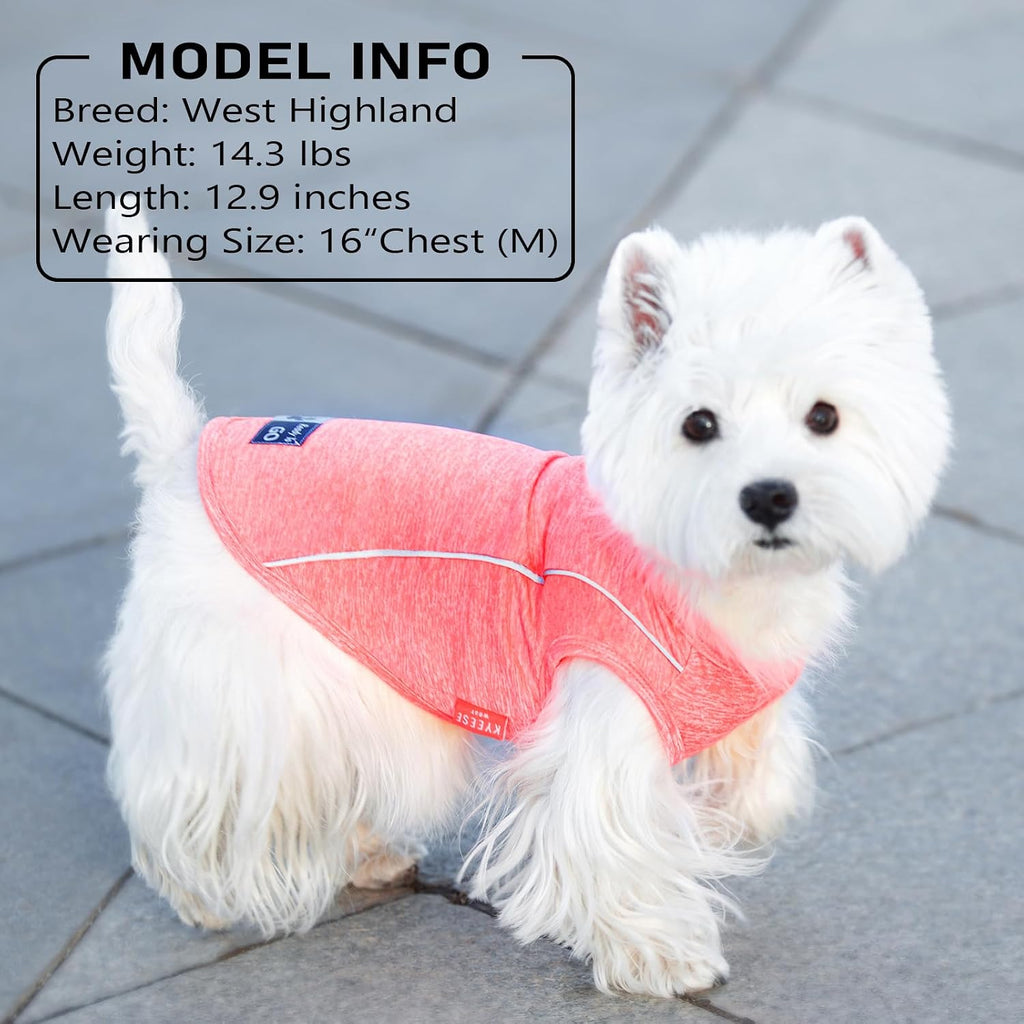 KYEESE Reflective Dog Shirt, Lightweight Sun Protection Dog T Shirts for Small Dogs Boy, Breathable Sleeveless Pet Tank Top Summer Dogs Clothes for Night Walking Outdoor, Lake Blue, M