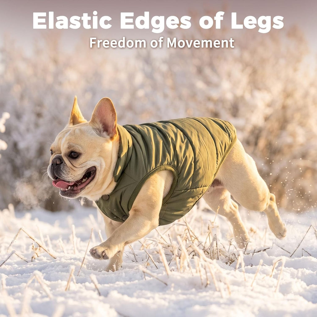 JoyDaog Fleece Lined Dog Jacket for Small Dogs,Winter Dog Coat,Green M