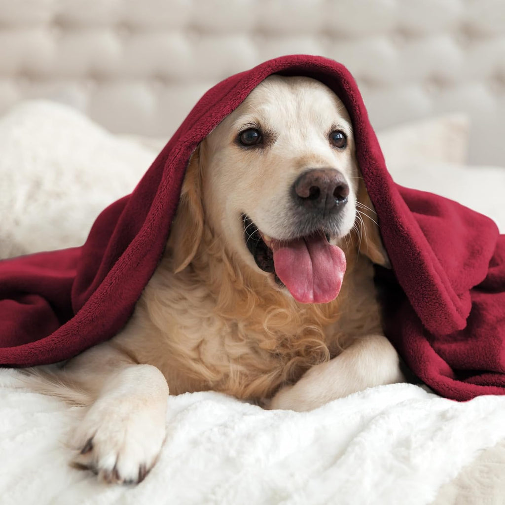 BEDELITE Fleece Blanket Soft Plush Throw for Couch Burgundy 50"x60"