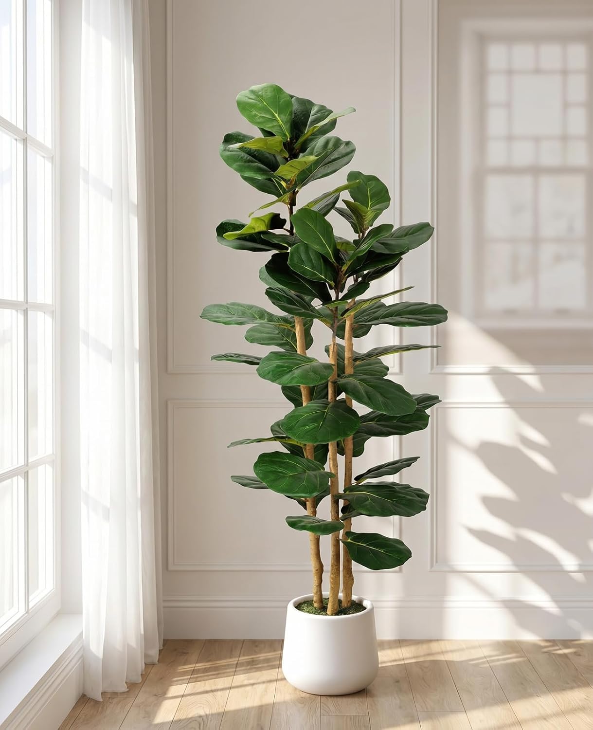 Artificial Fiddle Leaf Fig Tree in Modern White Planter, 5ft