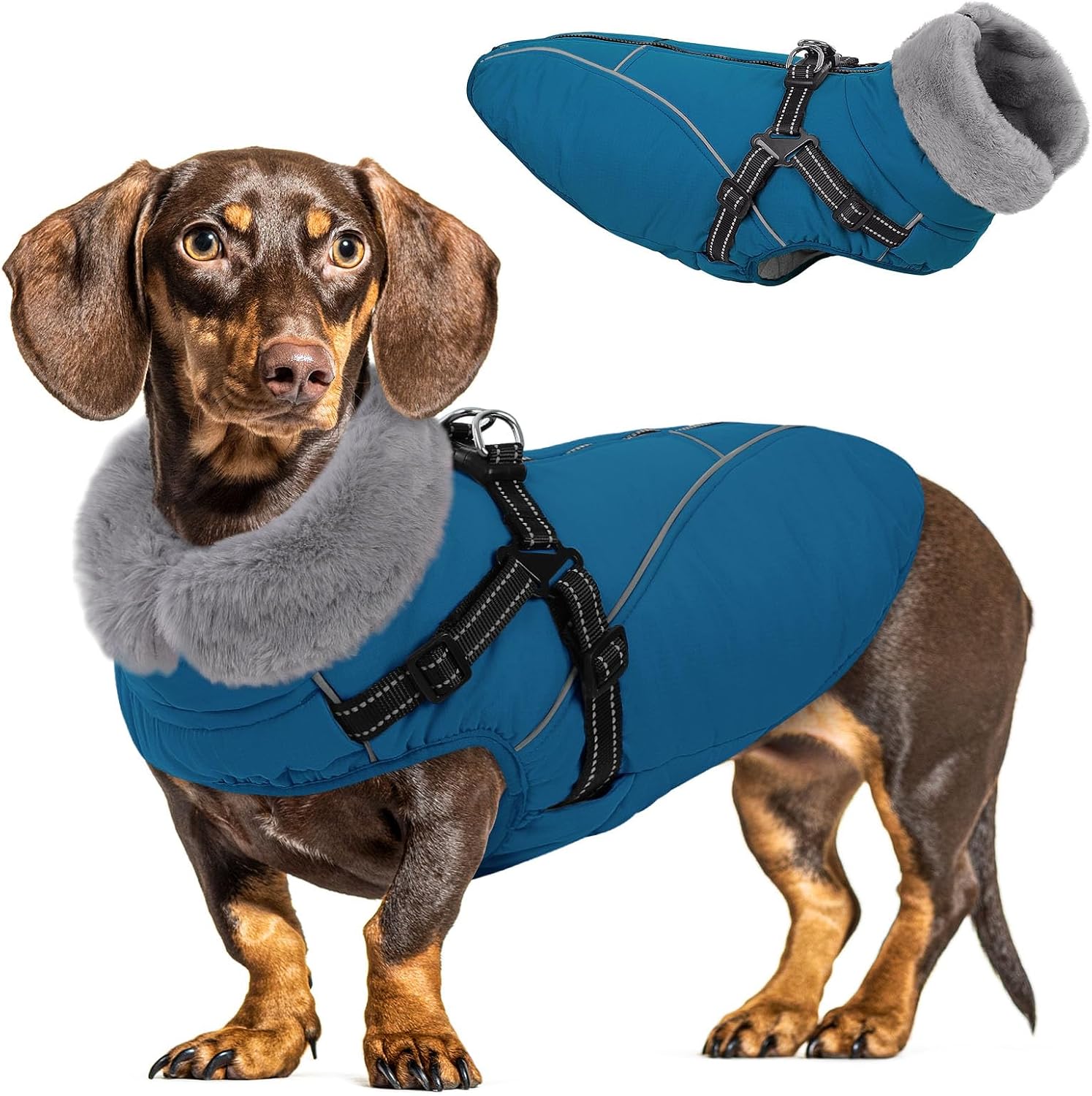 Queenmore Small Dog Coat, Dog Coat for Small Dogs with Harness Built in
