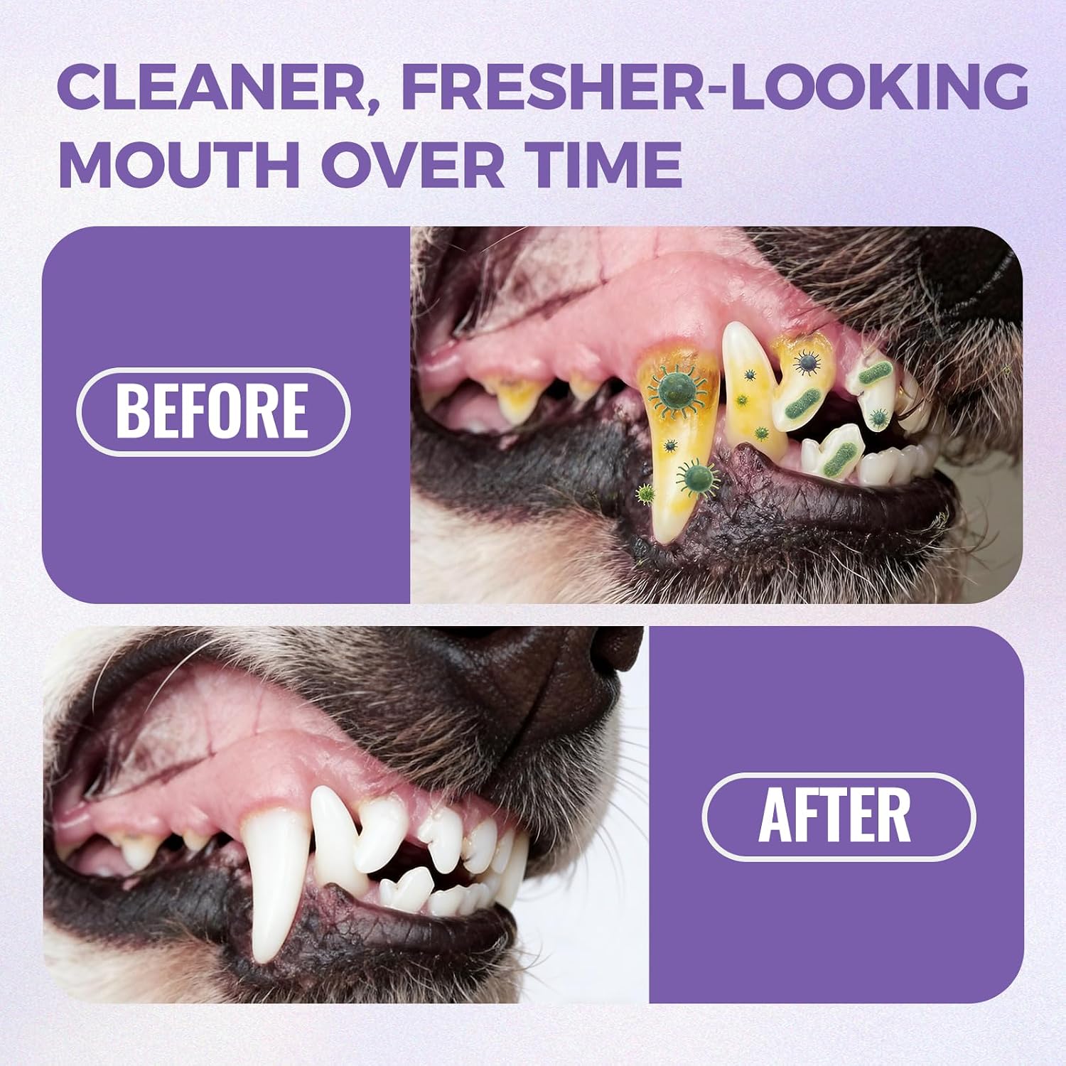 Furaqua Pet Dental Spray, Cleaning Spray for Dogs Teeth, Pet Breath Freshener – Dog Oral Care & Cat Teeth Cleaning - Targets Bad Breath, Plaque & Tartar - No Brushing(1)