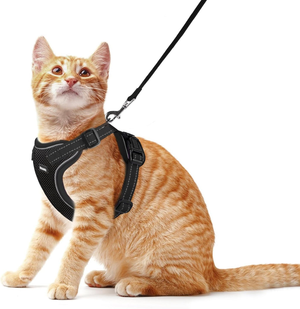 Cat Harness and Leash Set, Escape Proof Cat Harness with Reflective Strips, Breathable Mesh Vest, Adjustable Walking Harness for Indoor Outdoor Cats, Kittens, Small Medium Large Cats (Orange, S)