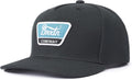 Brixton Men's Brixton Linwood Snapback Hat