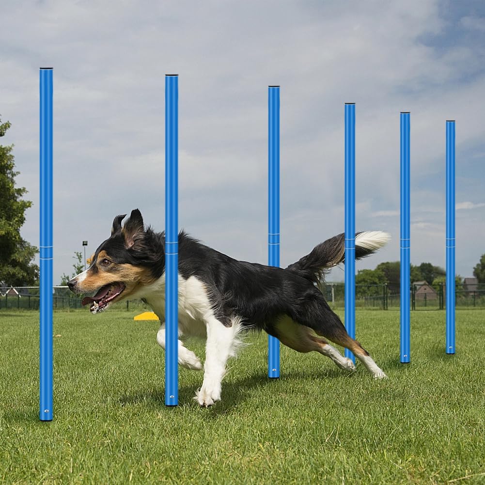 HOTOOLME Agility Training Poles Equipment Soccer Training Equipment Includes 6 Agility Poles,Agility Ladder, 10 Soccer Cones,Jump Rope for Speed Training, Soccer Training, Basketball Athletes & Kids