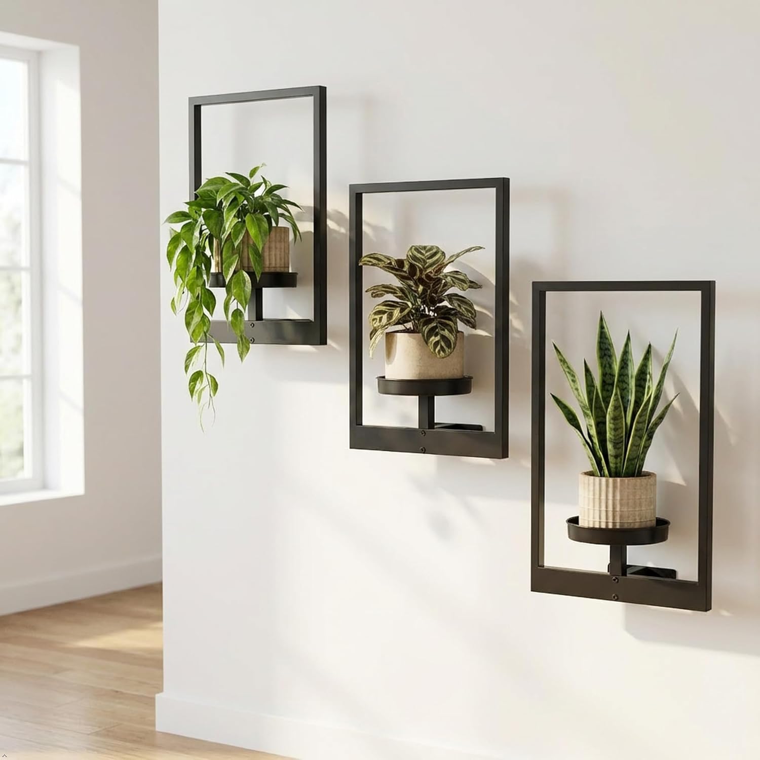 Picture Frame Wall Planters Set of 3, Modern Metal Hanging Shelves for Plants, Rustproof Wall Mount Flower Pot Holder for Indoor Outdoor, Decorative Plant Stand for Living Room Patio, Black