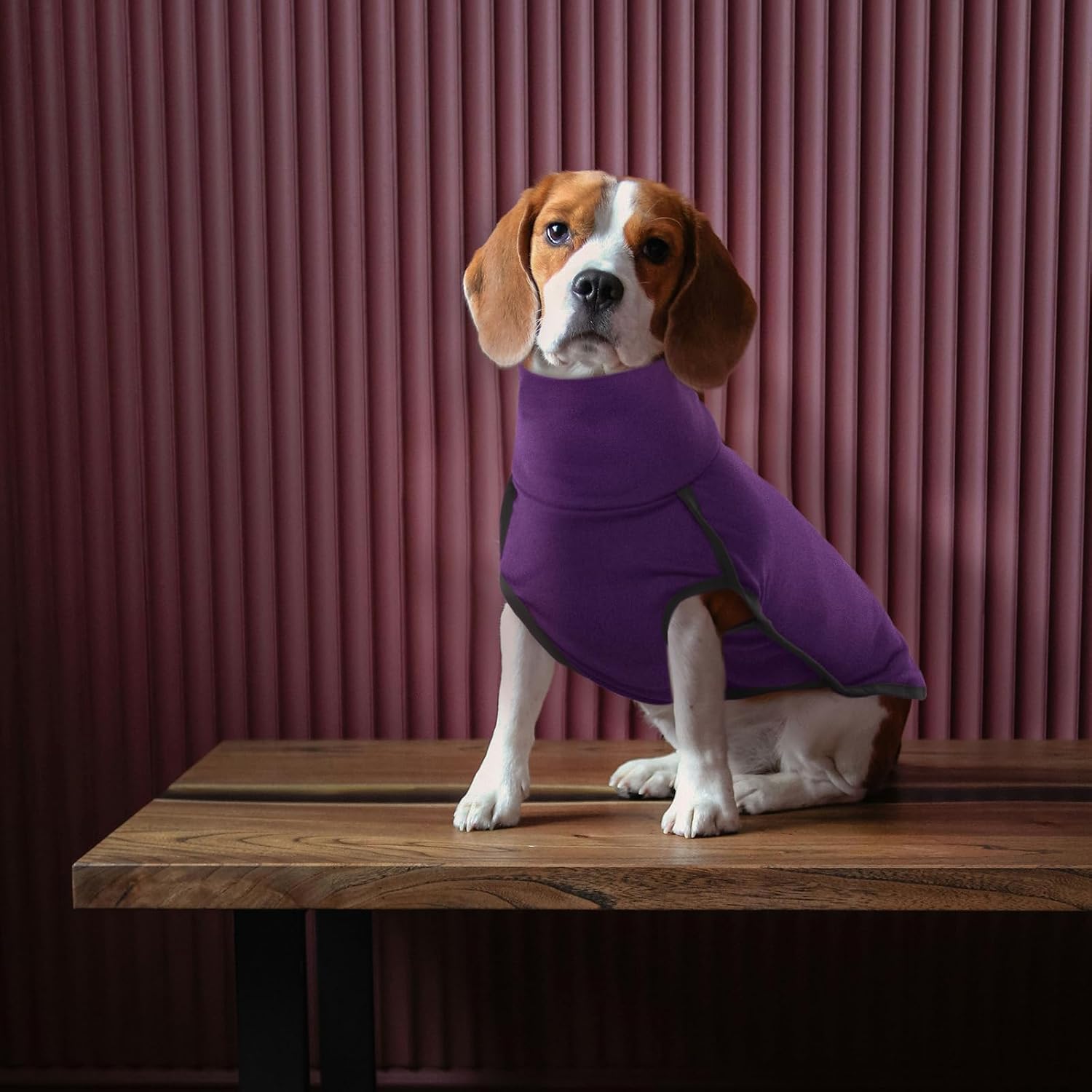 ROZKITCH Dog Sweater S, Warm Turtleneck Shirt for Medium Dogs