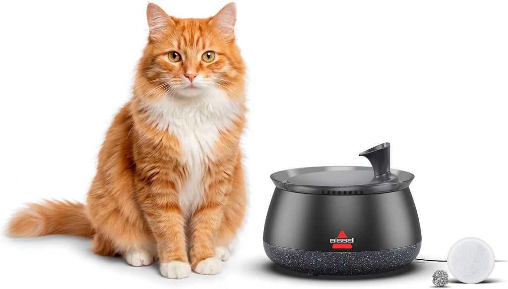 BISSELL HydrateWell Cat Water Fountain, 91oz, 4408