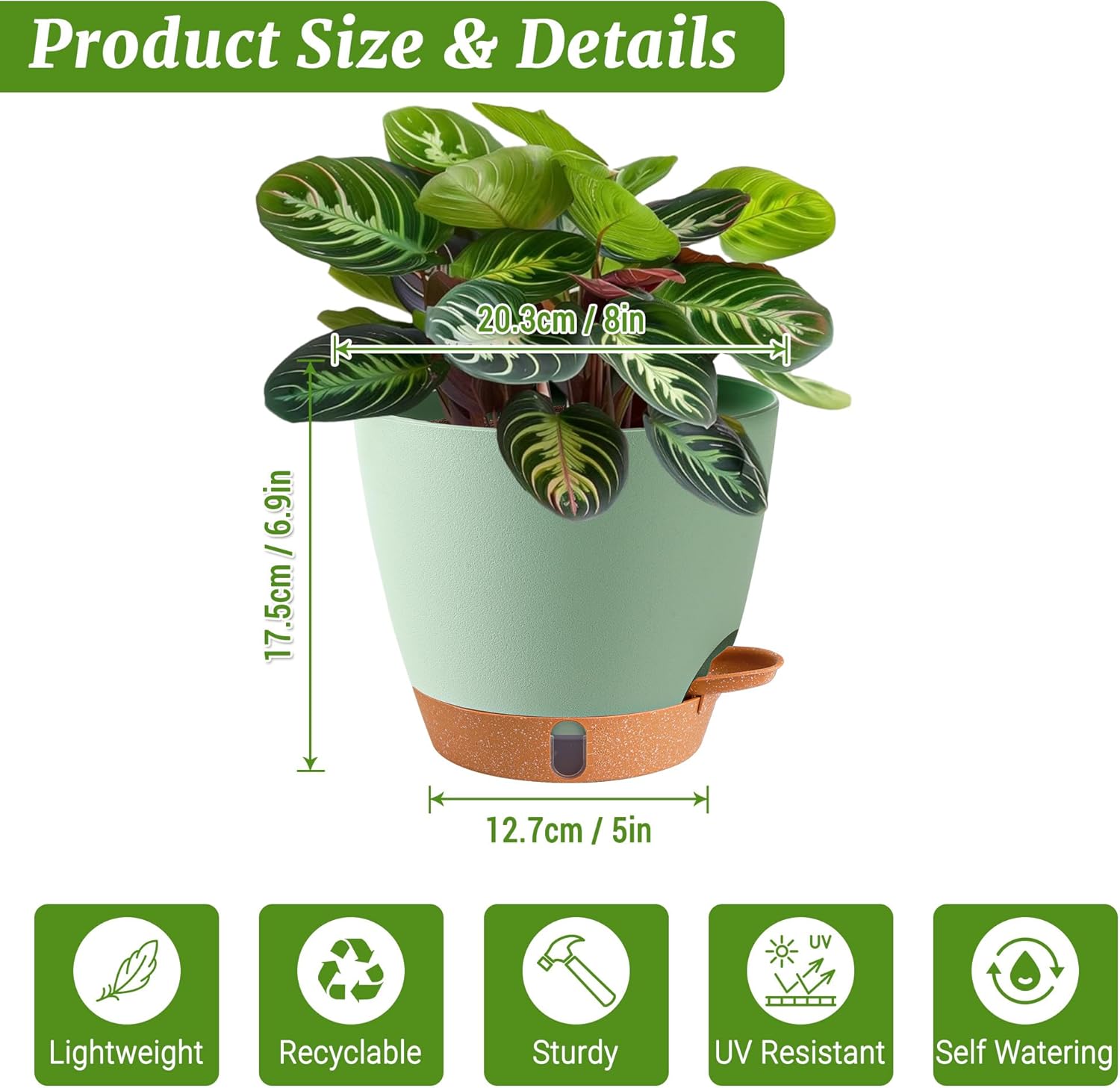 2 Pack 8 Inch Pots for Plants Indoor, Plastic Self Watering Planters