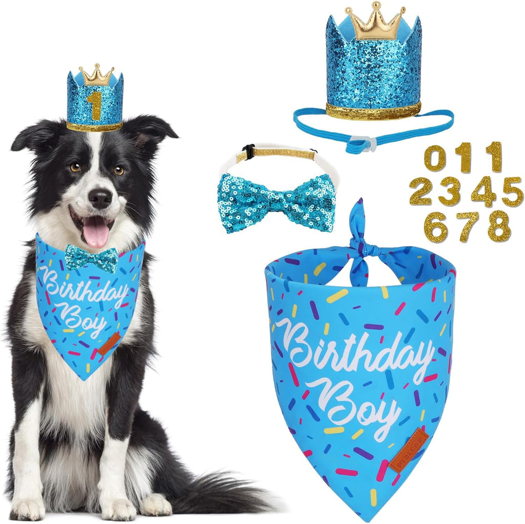 PTDECOR Dog Birthday Hat, Blue Boy Dog Birthday Bandana Set, Small