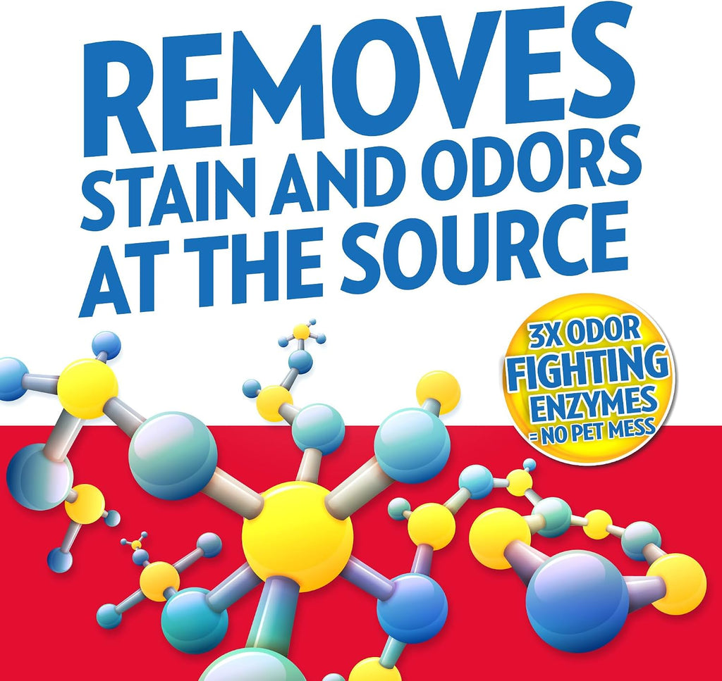 OUT! PetCare Pet Stain & Odor Remover, Carpet Cleaner, 32oz (2 Pack)