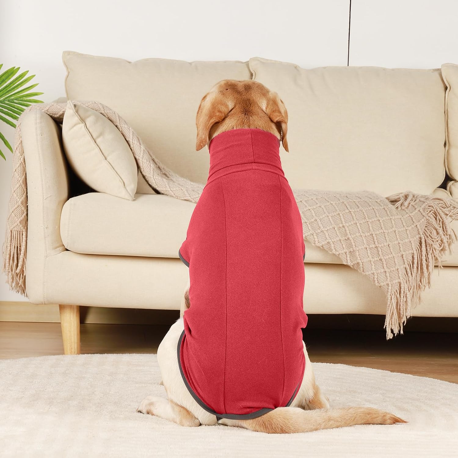 ROZKITCH Dog Sweater S, Warm Turtleneck Shirt for Medium Dogs