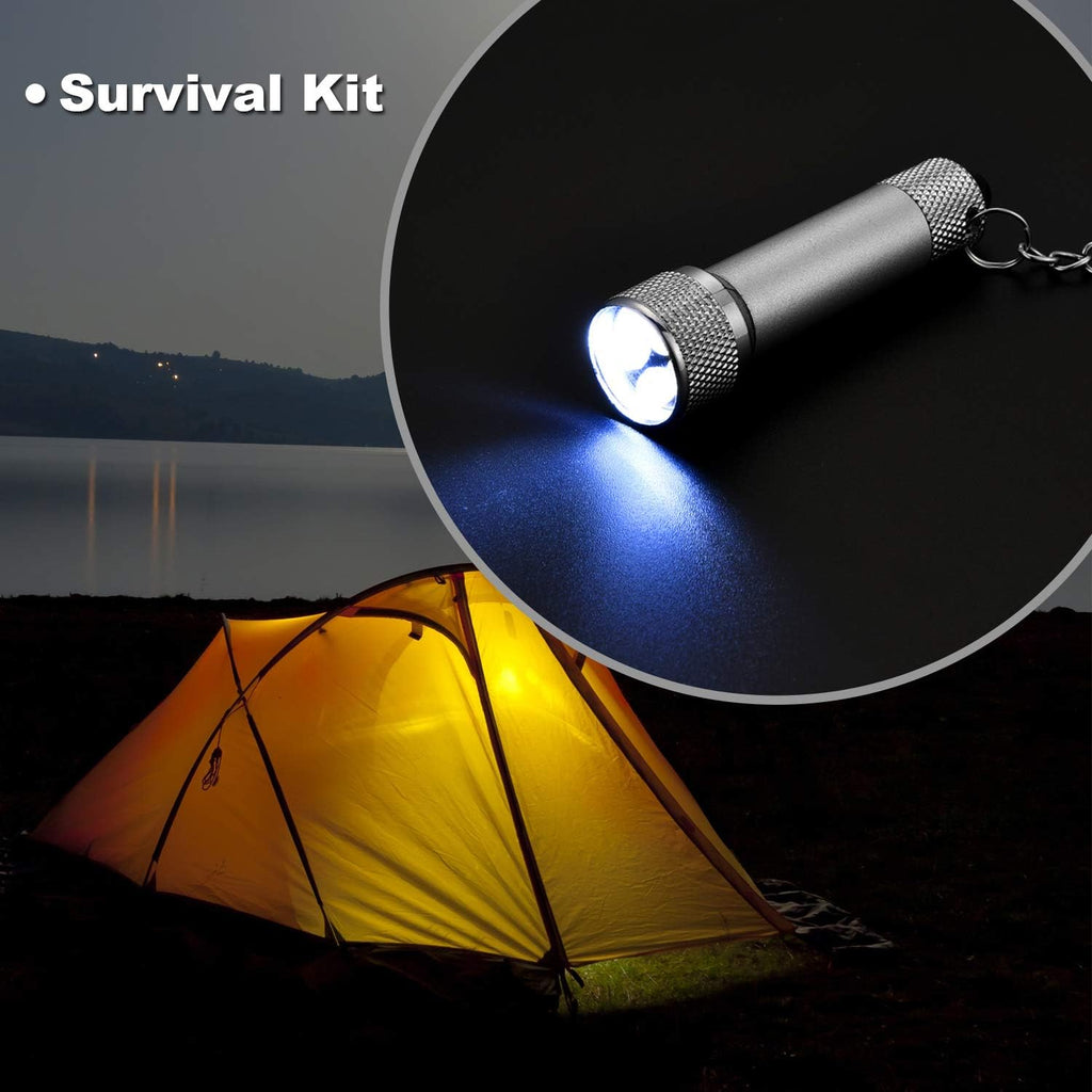 Honoson 30 Pcs Mini LED Keychain Flashlight Bulk