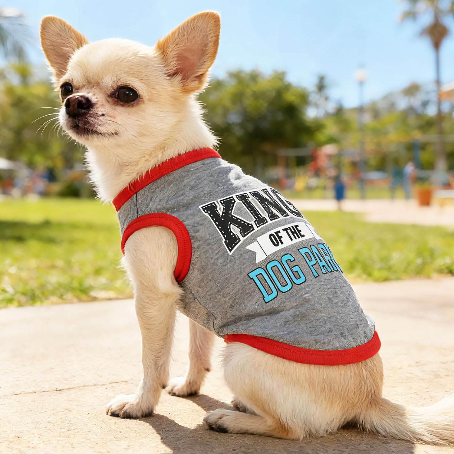 4 Pieces Puppy Clothes Boy Summer Dog Shirts for Small Dogs Chihuahua Yorkie Clothes Soft Cute Pattern Pet Cat Clothing Pink Grey Red Green XXS~M (X-Small)