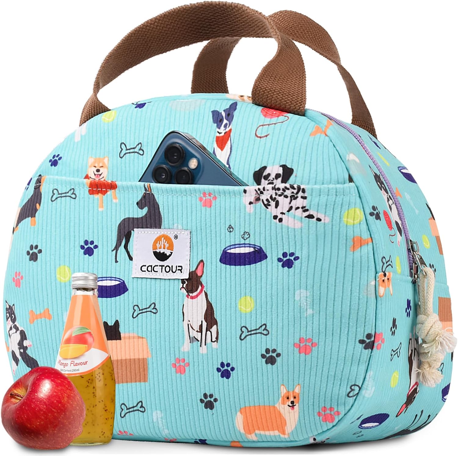 CaCTOUR Lunch Box for Women Girls Teens,Cute Lunch Box Cooler Bag, Portable Insulated Small Lunch Bag Women Reusable Corduroy Lunch Tote for Work/Travel/Picnic/School (Green,Small)