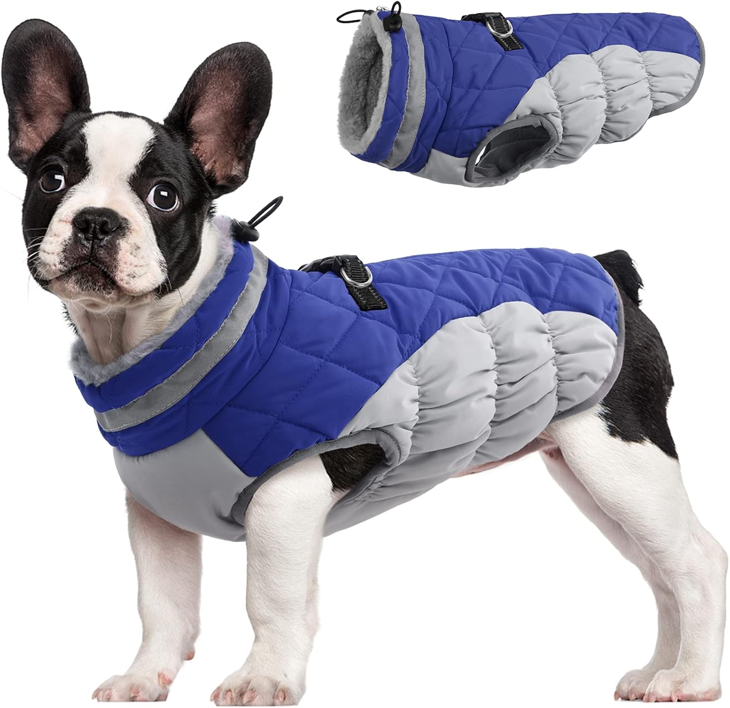 FUAMEY Dog Coat for Small Dogs, Fleece Dog Winter Jacket with Harness