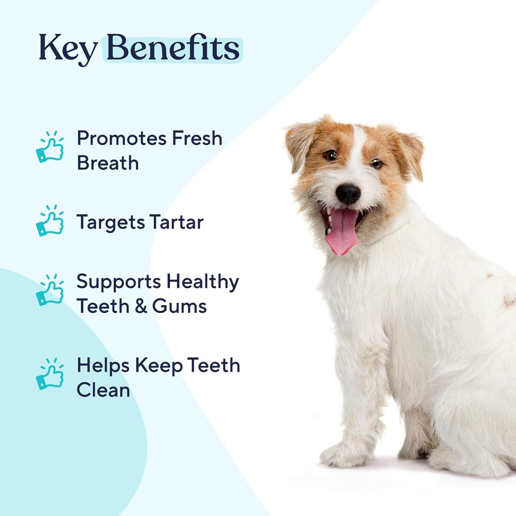 Pawfy Dog Breath Freshener & Teeth Cleaning - Dental Water Additive