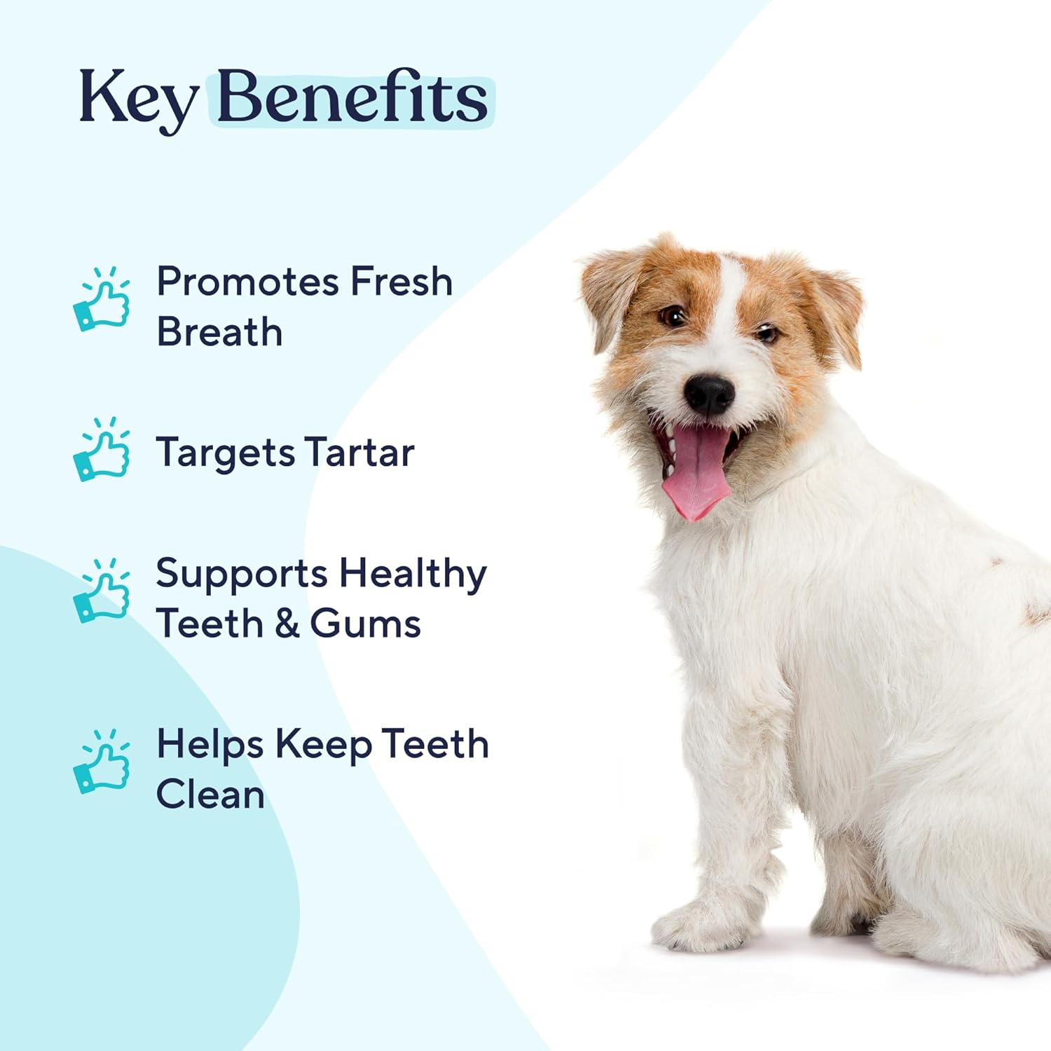 Pawfy Dog Breath Freshener & Teeth Cleaning - Dental Water Additive