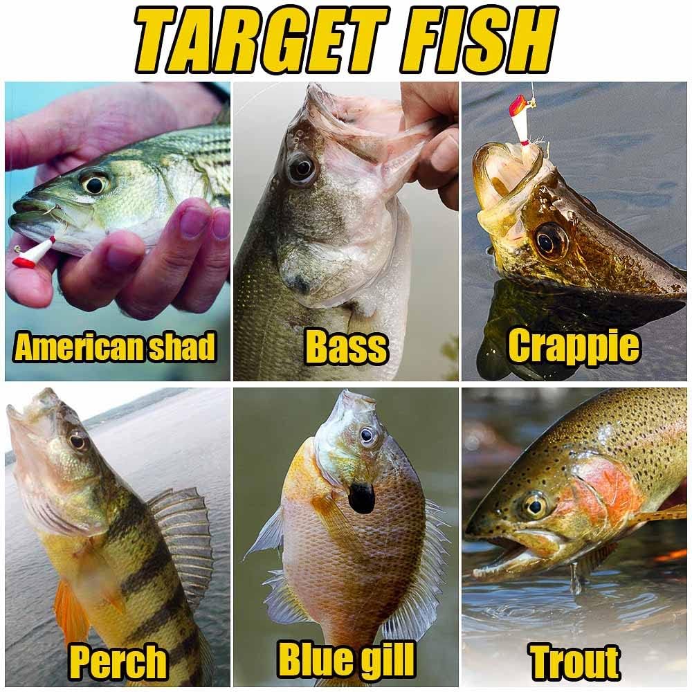 Shad Darts Fishing Lures Dart Head Jig Underspin Bucktail Hair Jigs Head for American Shad Bass Walleye Crappie Panfish 1/16oz 1/8oz 1/32oz 1/4oz 25 Pack