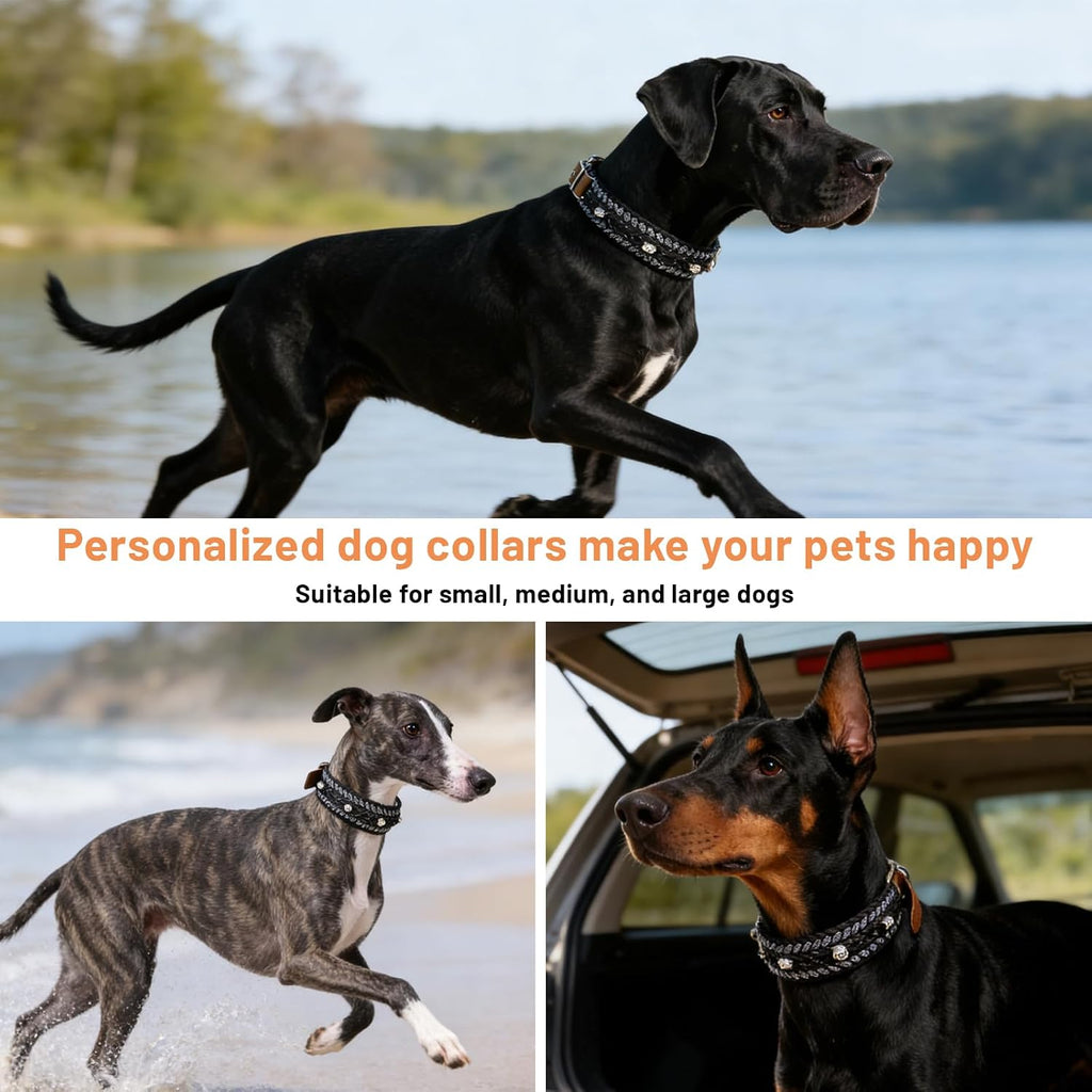 Paracord Dog Collar and Leash Set, Black Skull, 14"-20"