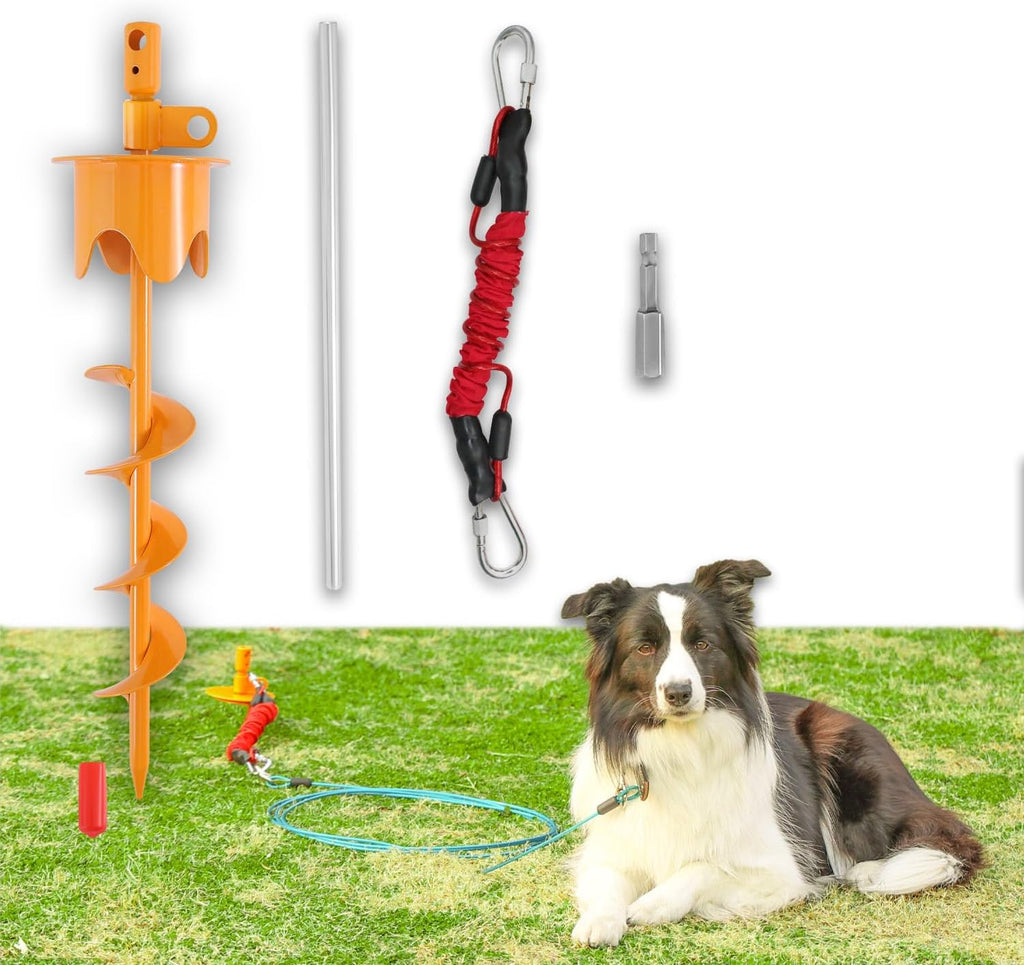 17" Heavy Duty Dog Tie Out Stake & Buffer Rope for Large Dogs