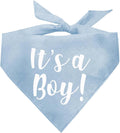 It's a Boy Dog Bandana | 100% Cotton Adjustable Triangle | Made in USA | Gender Reveal | Baby Announcement | Boy or Girl |Baby Blue, One Size (57)