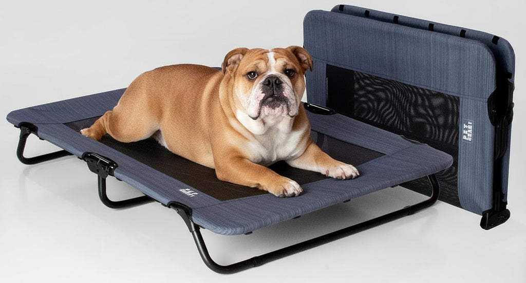 Pet Gear Lifestyle Pet Cot Elevated Bed, 40 Inch, Sand Dune
