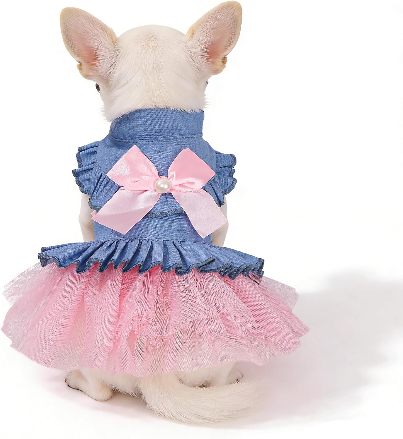 Dog Dress, Fashion Puppy Tutu Princess Dresses for Small Dogs Girl, Sweet Skirt with Dog Bowknot Clips, Spring Dog Cat Clothes Pet Apparel (Denim Princess Dress, XX-Small)