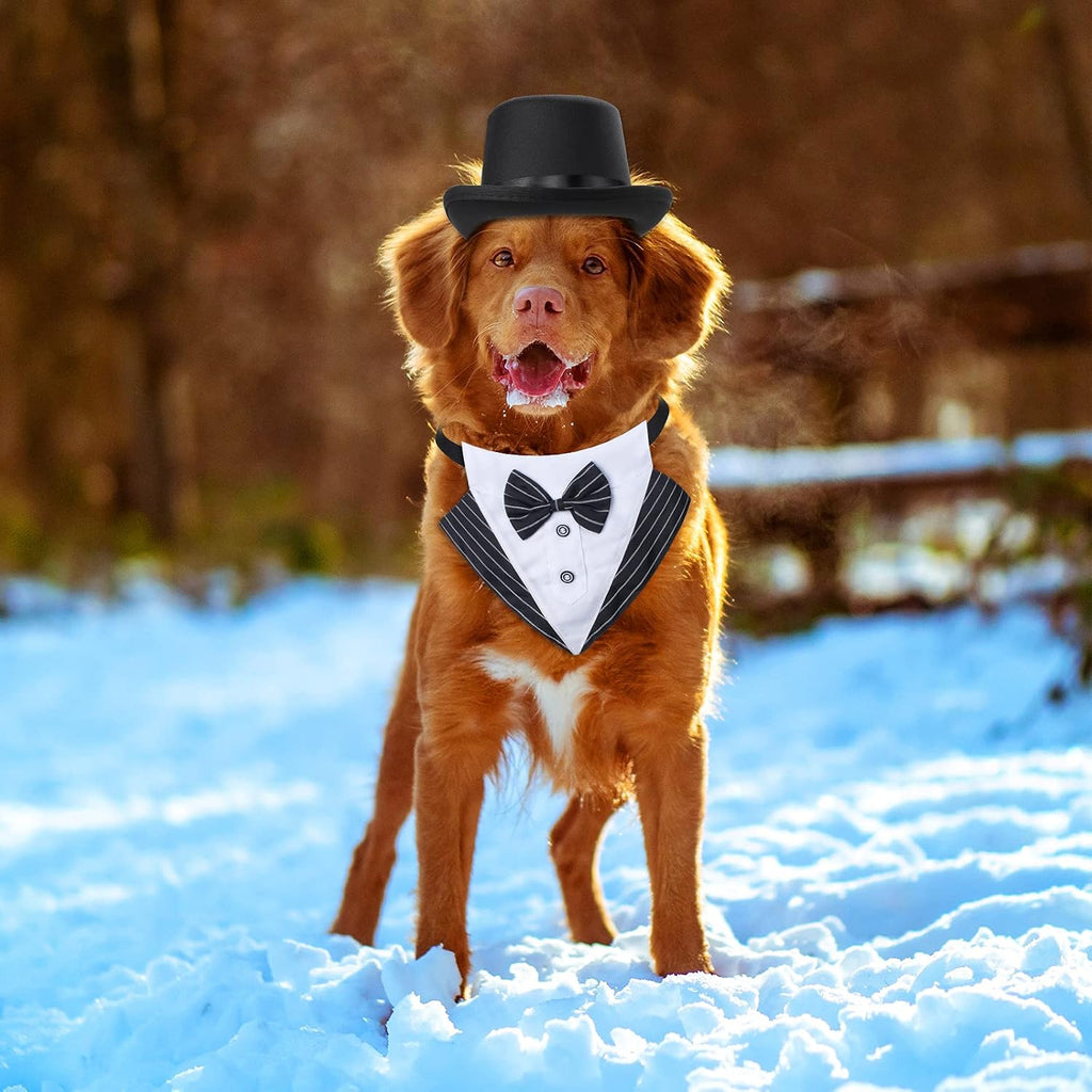 Yewong 2 Pieces Pet Formal Accessories Set - Pet Top Hat with Formal Pet Tuxedo Bandana Collar Birthday Party Gradation Halloween Costumes Accessories for Dog Cat (Set-A) One Size
