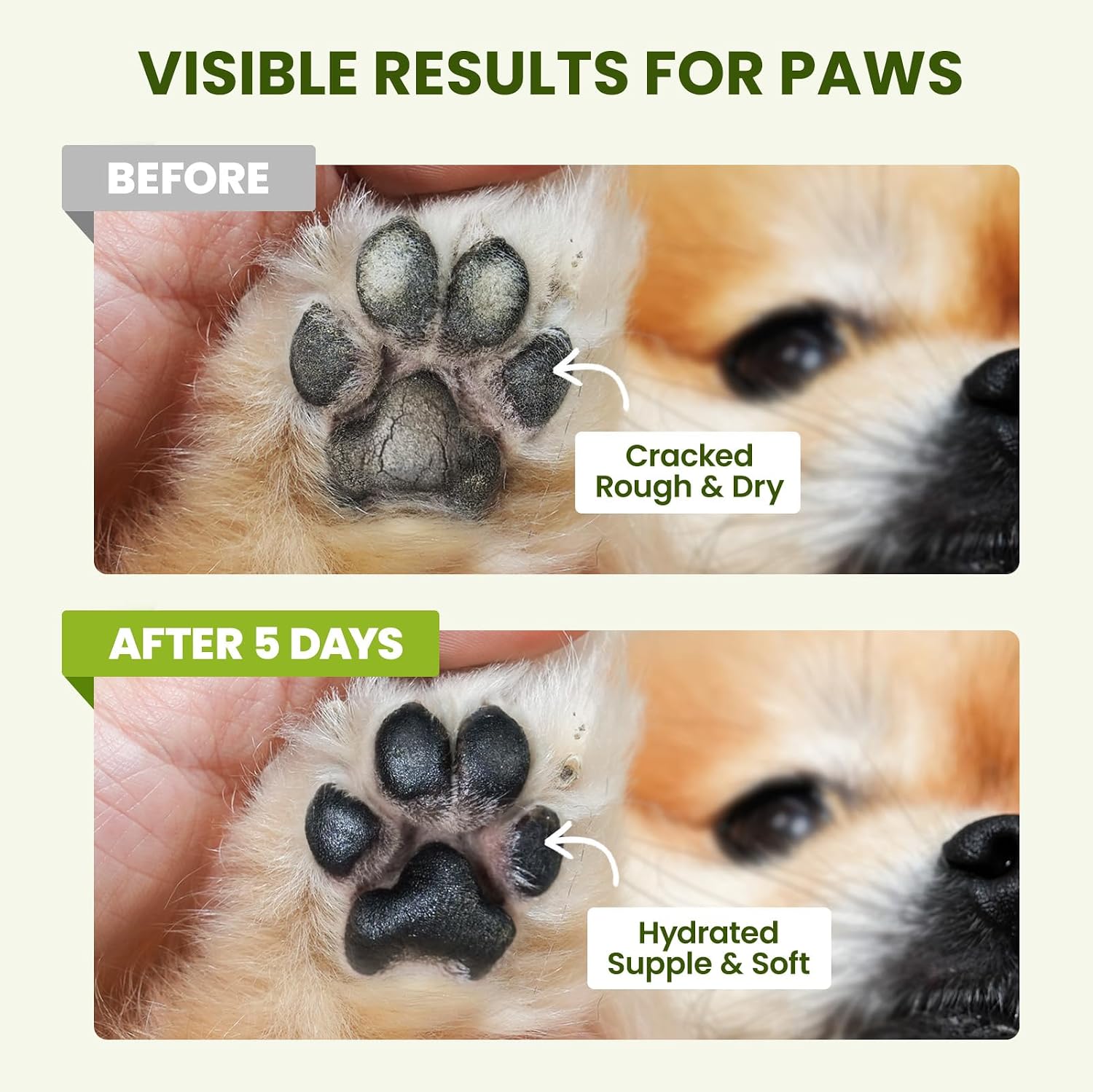 PawSono Lick-Safe Dog Paw & Nose Balm with Coconut Oil, All-Natural