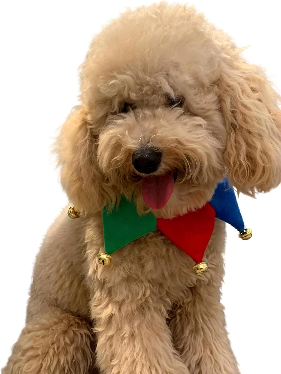 ComfyCamper Dog Jester Clown Neckpiece Cute Outfit Halloween Costume, L