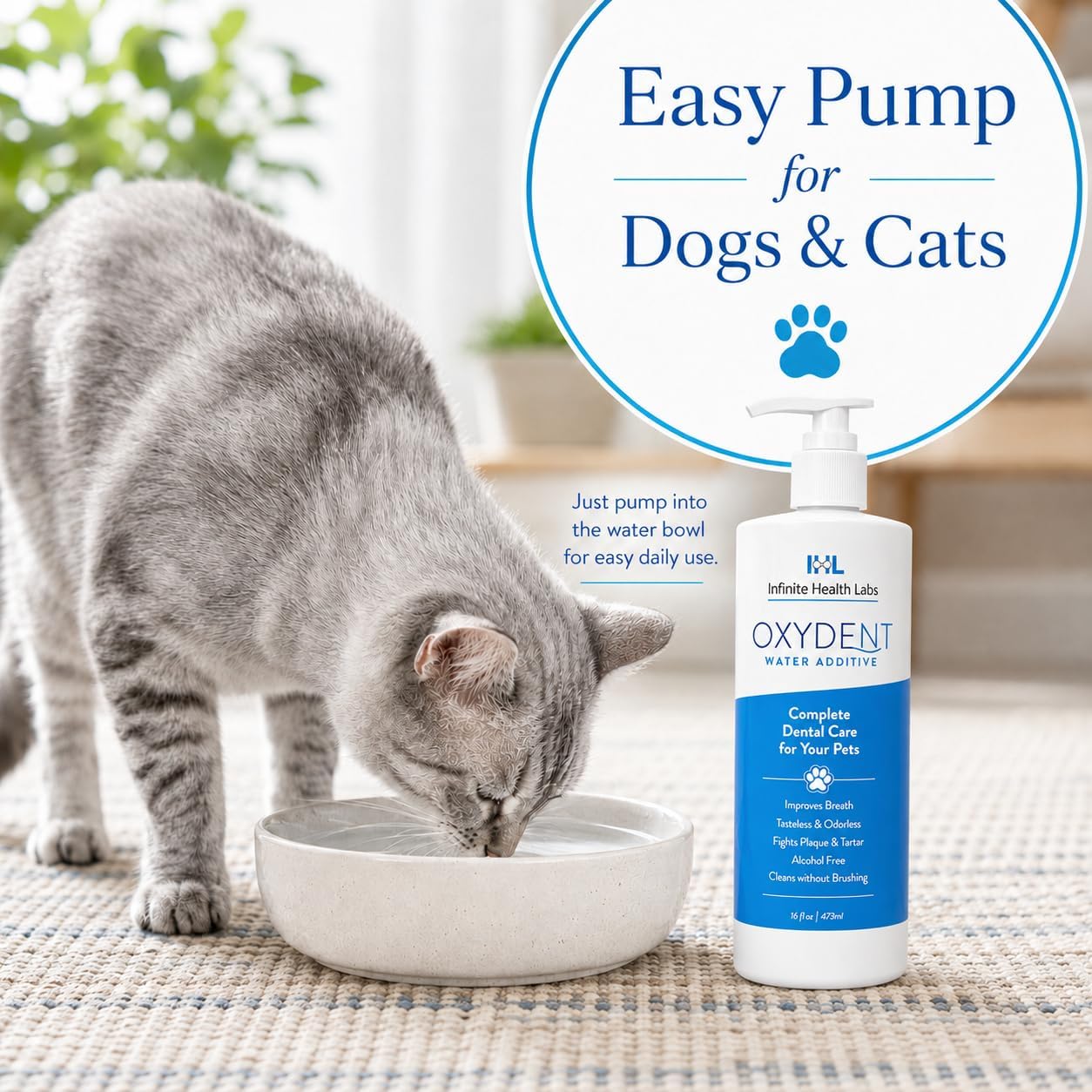 Oxydent Pet Dental Water Additive, Dogs & Cats, 16 oz