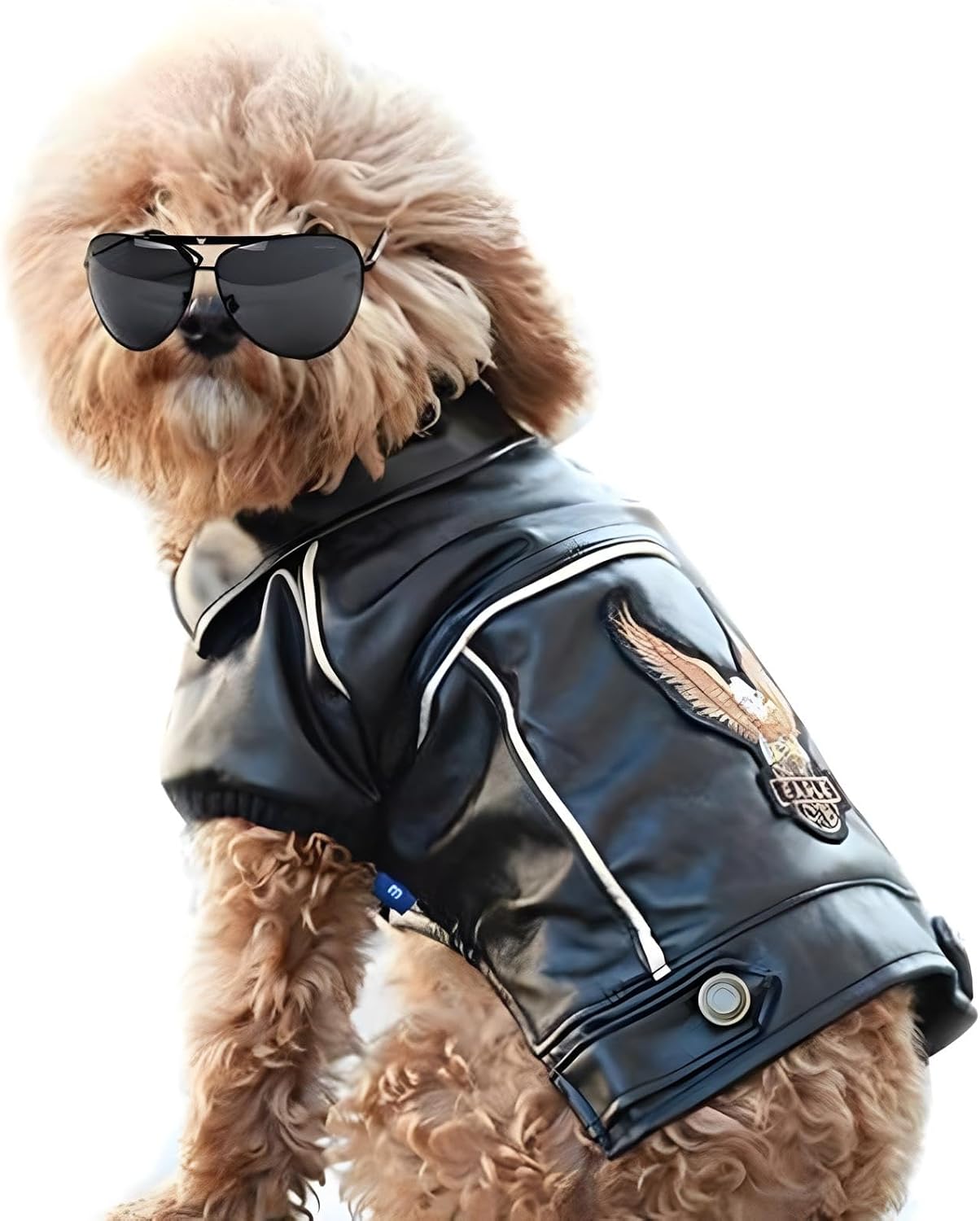Dog Winter Coat Pu Leather Motorcycle Jacket for Dog Pet Clothes Leather Jacket, Waterproof(L)