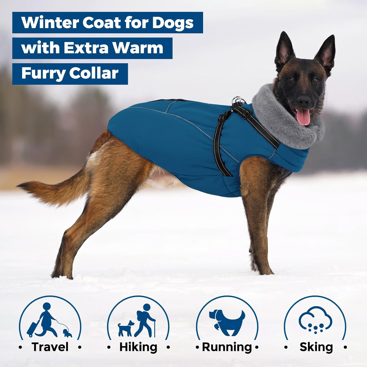 Queenmore Small Dog Coat, Dog Coat for Small Dogs with Harness Built in