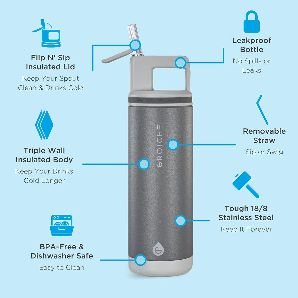 GROSCHE Alpine Flip 'N Sip Steel Water Bottle with Straw, Steel Gray, 20 oz