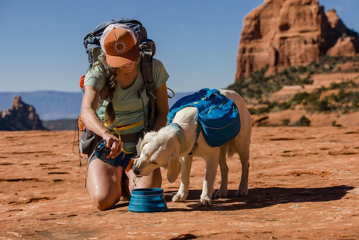 Ruffwear, Approach Pack Dog Backpack, Blue Dusk, Medium