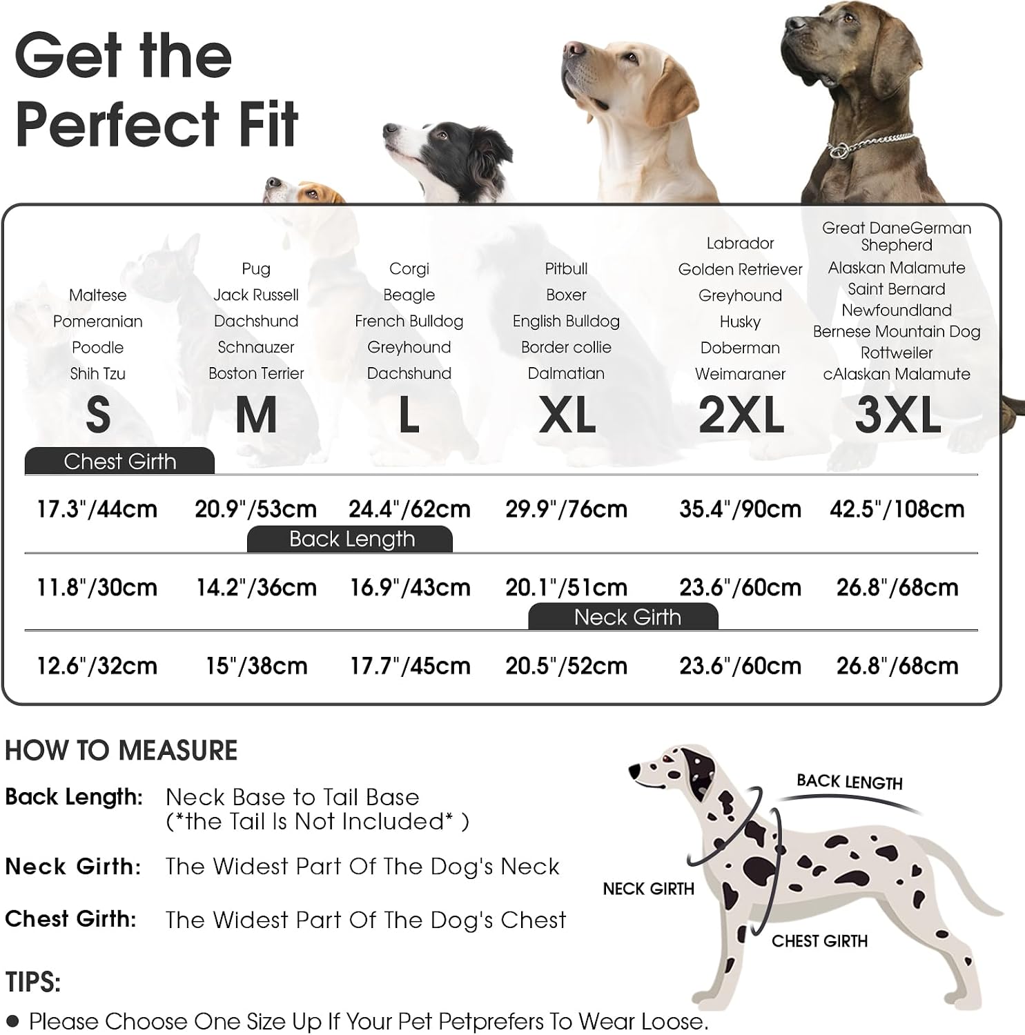 Queenmore Dog Winter Jacket Dog Coats for Large Dogs with Harness Built in