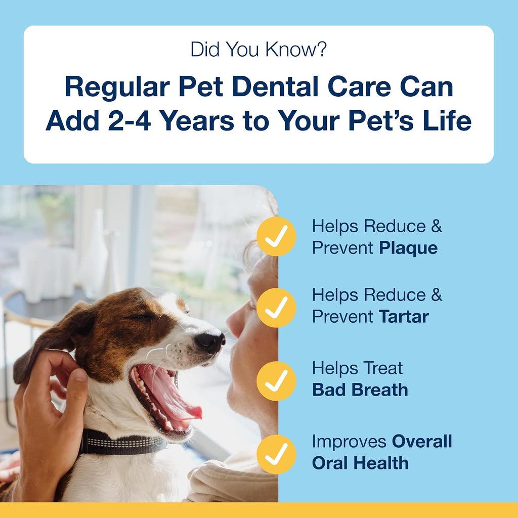 ProDen Mini Dental Bones for Dogs - Peanut Butter & Banana - 12oz