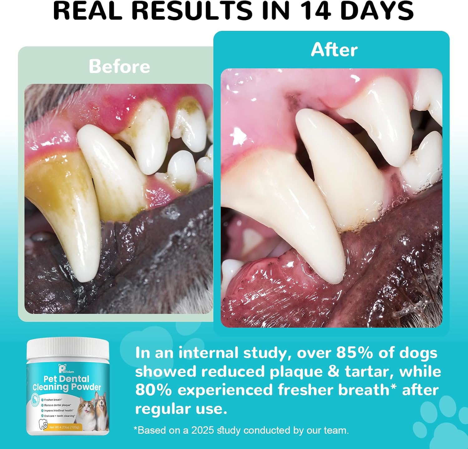 Dental Powder for Dogs, Dog Teeth Cleaning Powder, Teeth Cleaning and Breath Fresher & Plaque and Tartar Remover with Enzyme, Probiotics. PlaqueOff Pet Tooth Cleaning 120 Grams