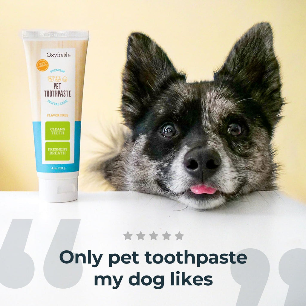 Oxyfresh Vets Professional Dog & Cat Dental Toothpaste Gel – Cleaner Teeth
