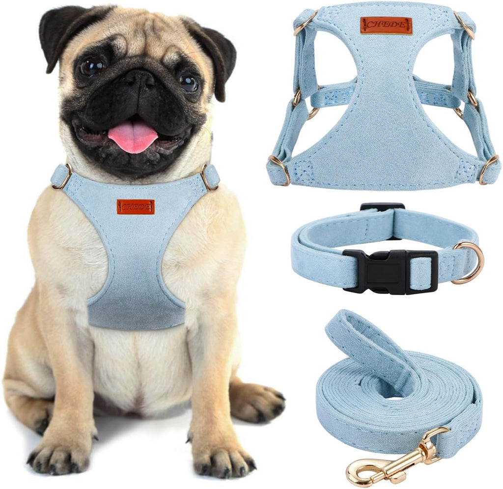 No Pull Dog Harness- Lightweight, Soft, Adjustable Small Harness Collar and Leash Set, Suitable for Cats Puppy Small and Medium-Sized Dog Outdoor Training and Running (Green, S)