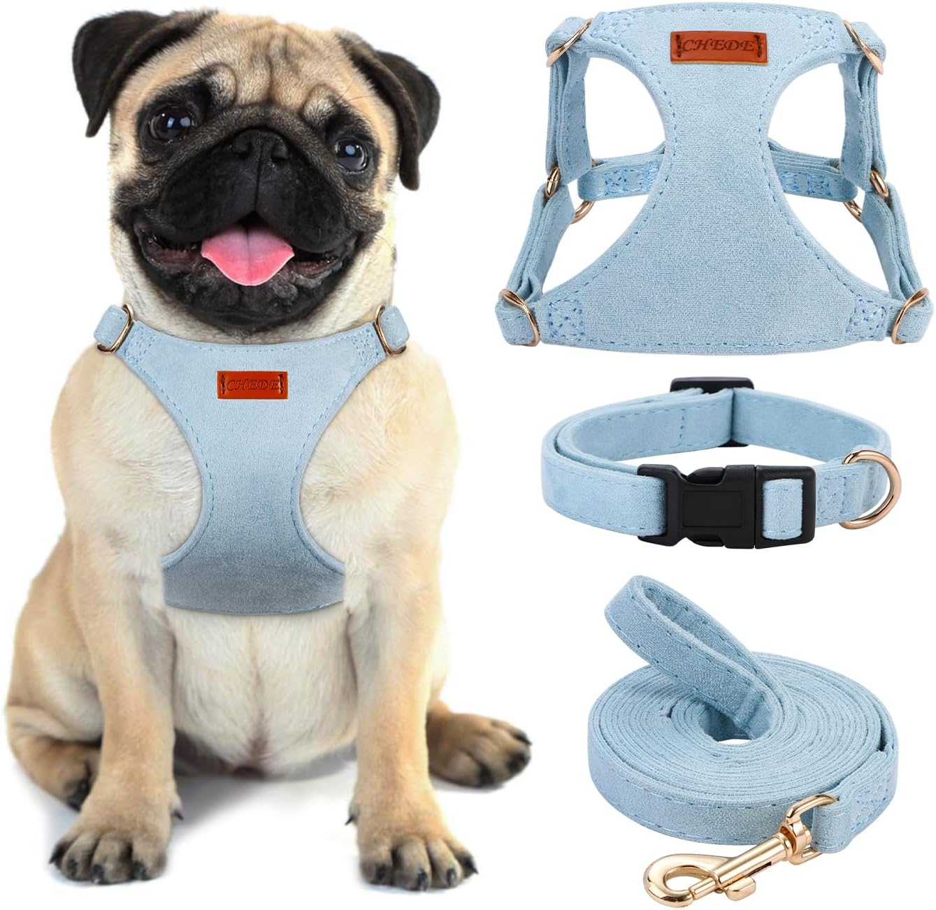 No Pull Dog Harness- Lightweight, Soft, Adjustable Small Harness Collar and Leash Set, Suitable for Cats Puppy Small and Medium-Sized Dog Outdoor Training and Running (Green, S)