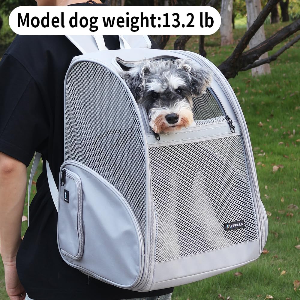 Pet Backpack Carrier ，Large Cat Carrier Backpack Up to 20 Lbs with Breathable Mesh, for Medium Large Cats or Small Dogs, Travel Hiking Camping Backpack (Gray-XL)