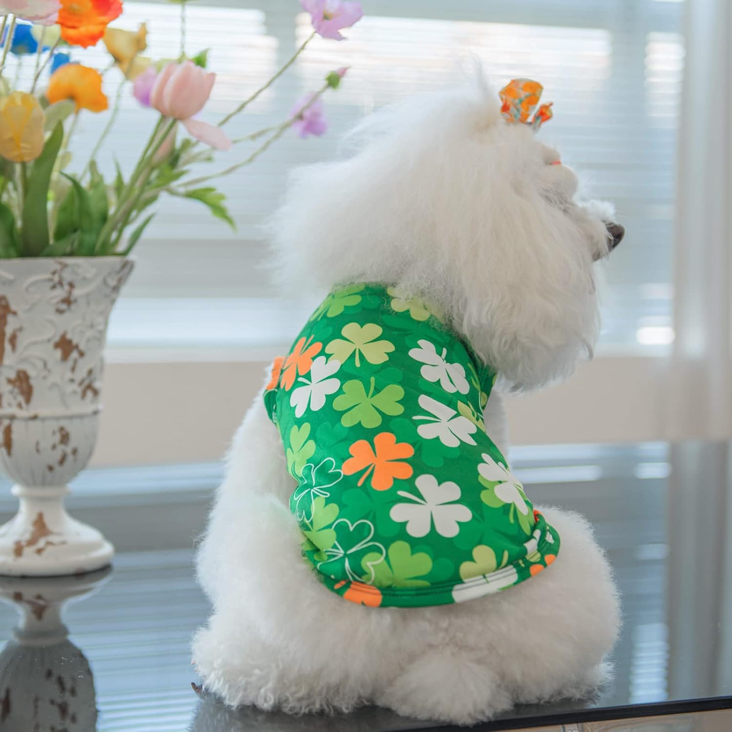 CuteBone Dog Shirts 2-Pack Soft Pet Clothes Breathable Summer Vest for Small Puppy and Stretchy Cat Apparel