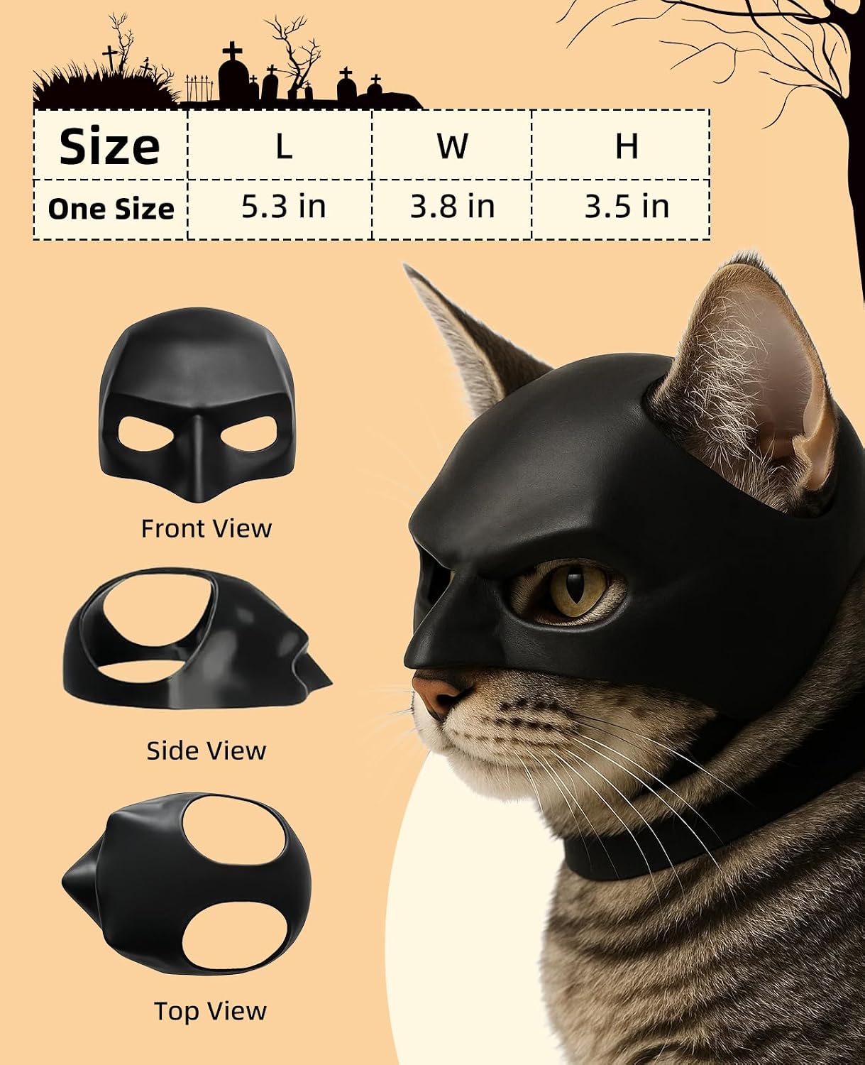 Halloween Cat Bat Wings with Mask Costume