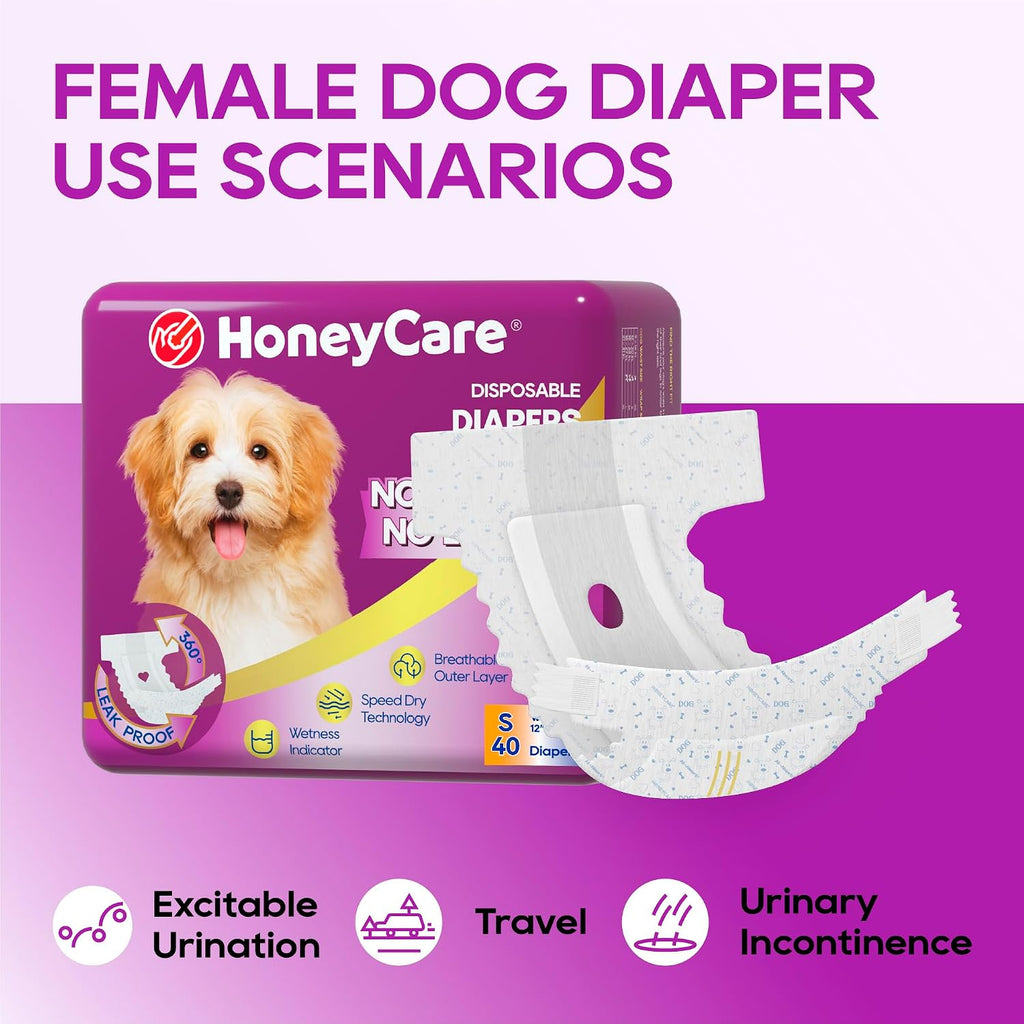 HONEY CARE All-Absorb Disposable Female Dog Diapers Small Size, Improved, 40 Count, Super Absorbent, Breathable, Wetness Indicator (Pack of 1, 40 Count Total)