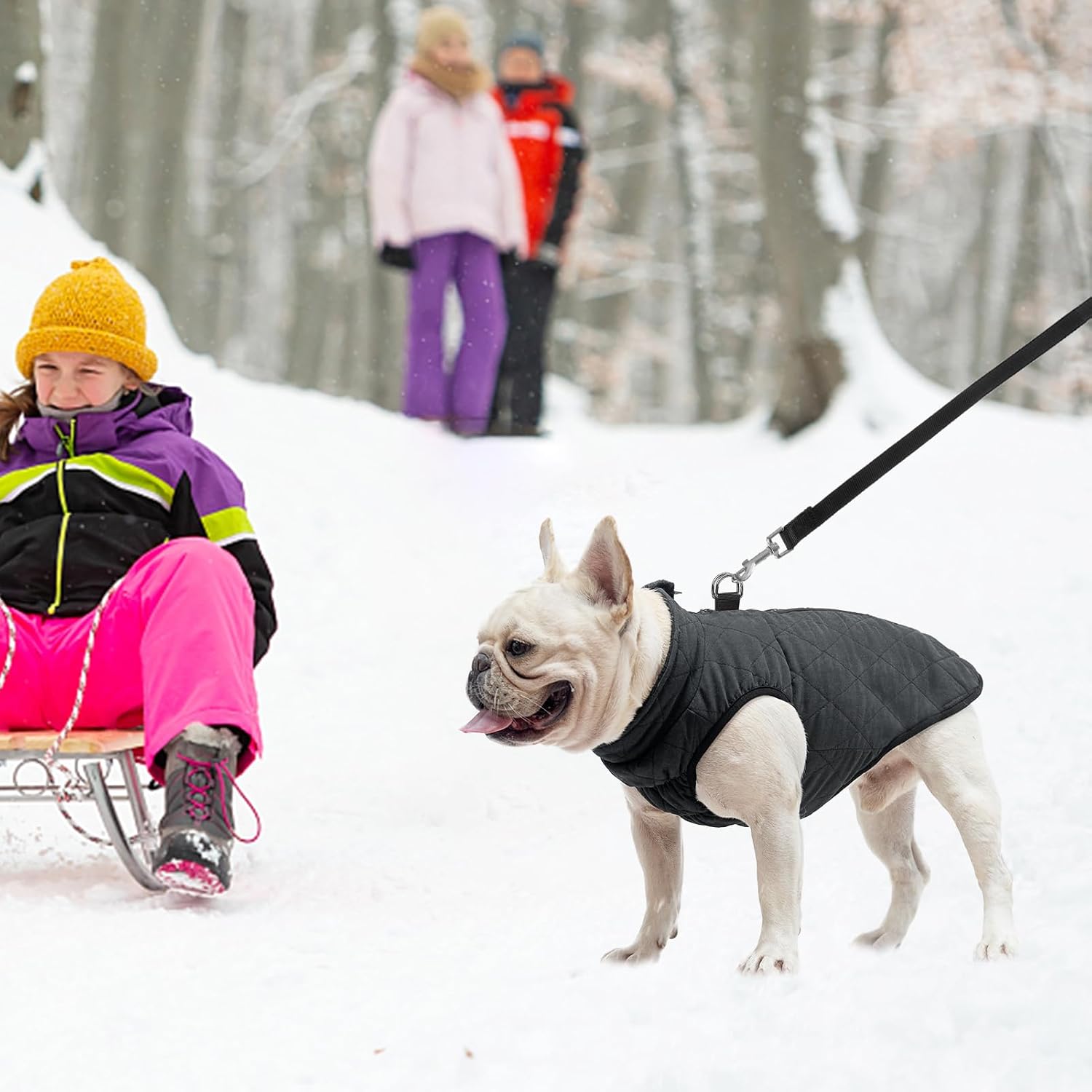 SCENEREAL Winter Dog Vest Coat with Harness Built in